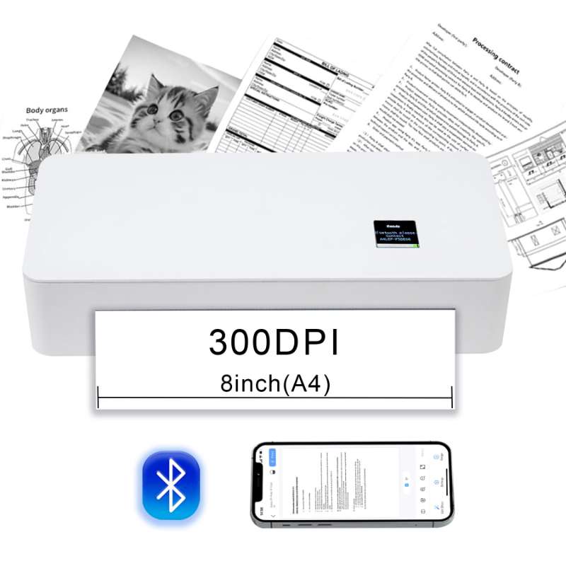 B0DP8XJ4RN.MAIN.jpg