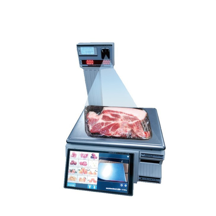 ai-scale86061